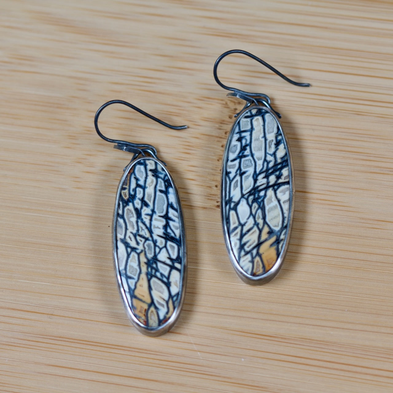 Petrified Palm Wood Earrings
