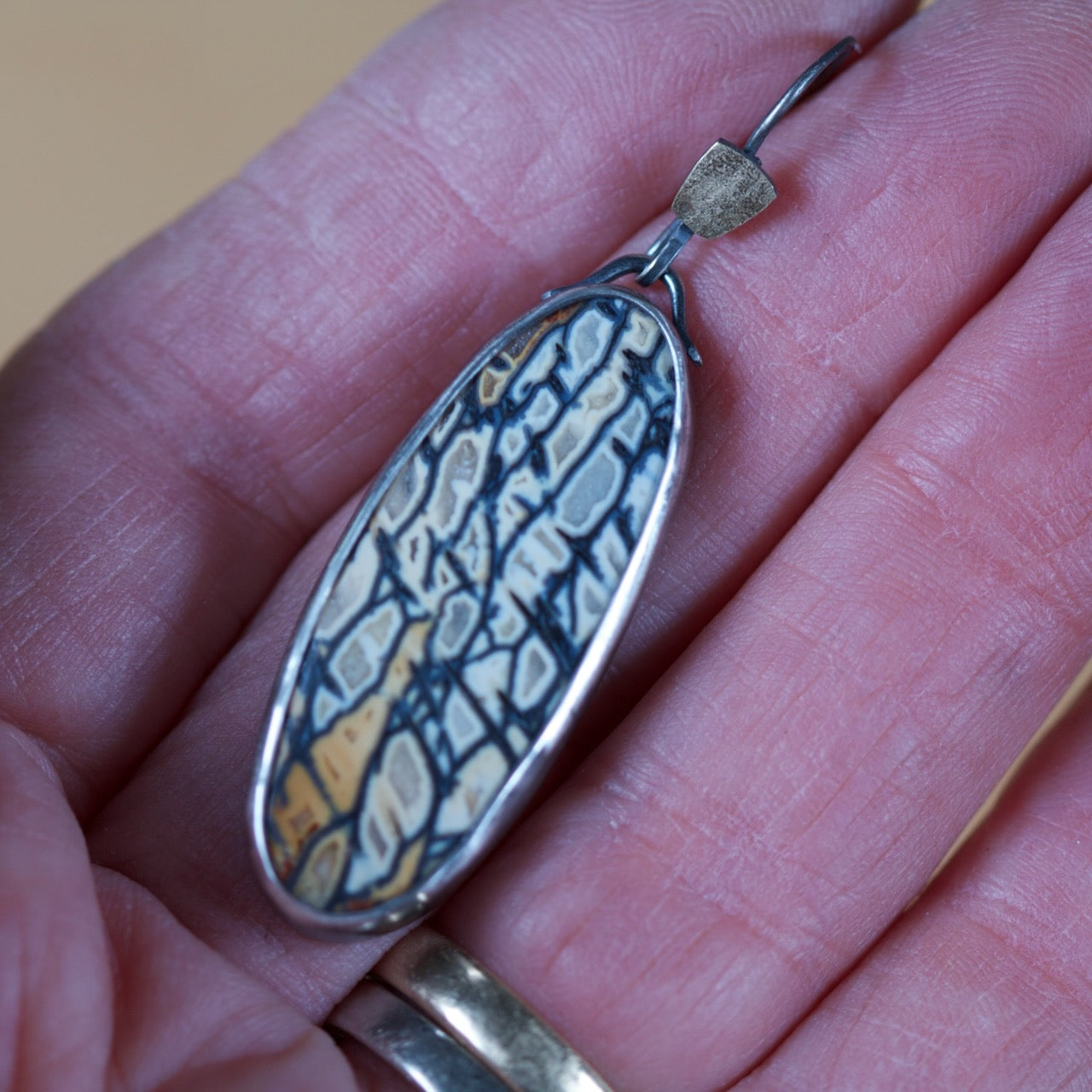 Petrified Palm Wood Earrings