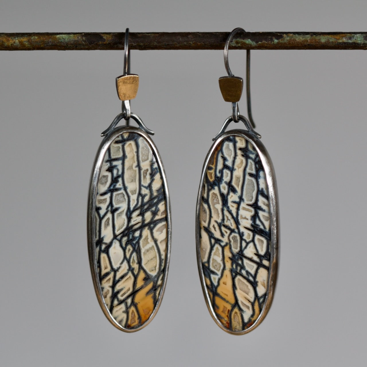 Petrified Palm Wood Earrings